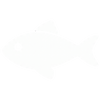 For The Serious Fisho